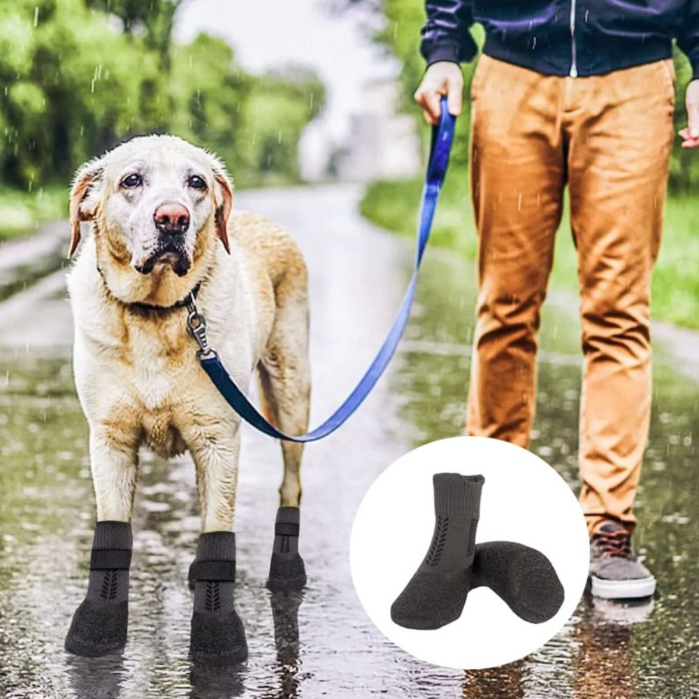 Pet Supplies App - 4 шт., товары для домашних животных,