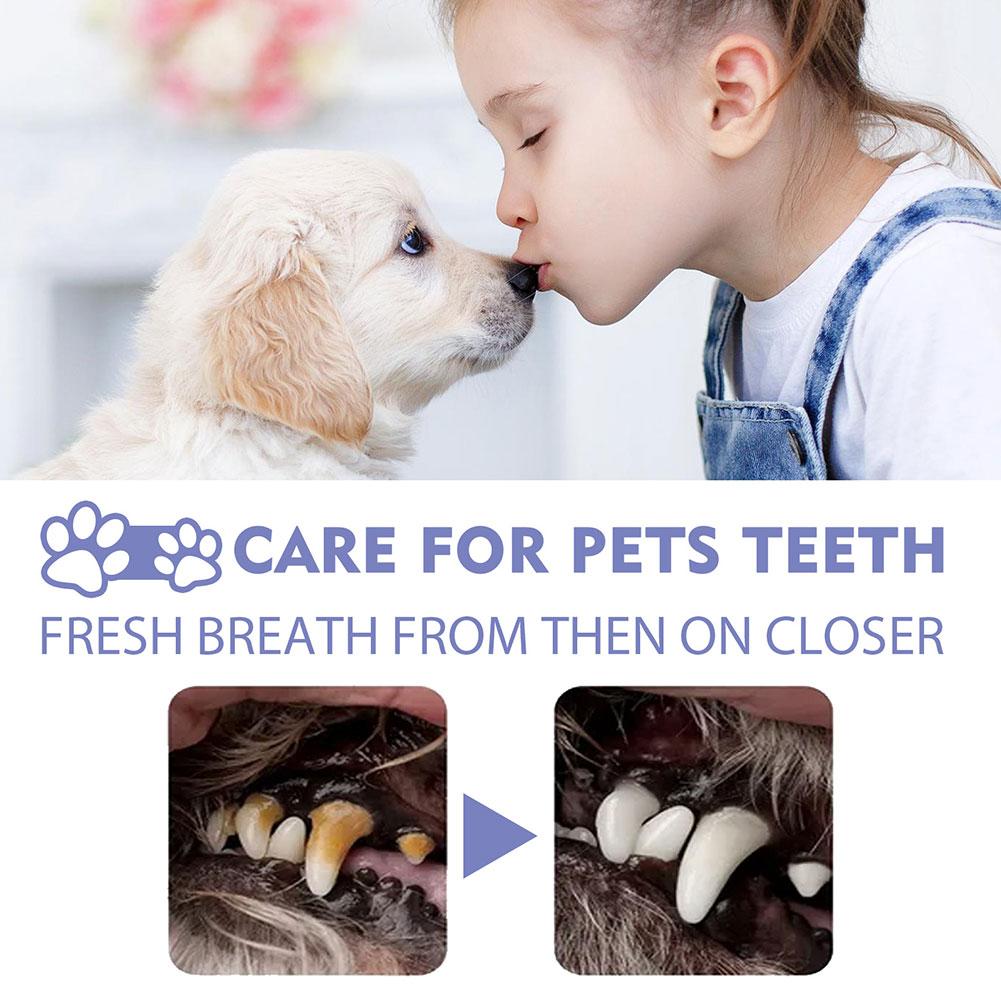 Спрей для чистки полости рта д – обзор и цена Pet Supplies App