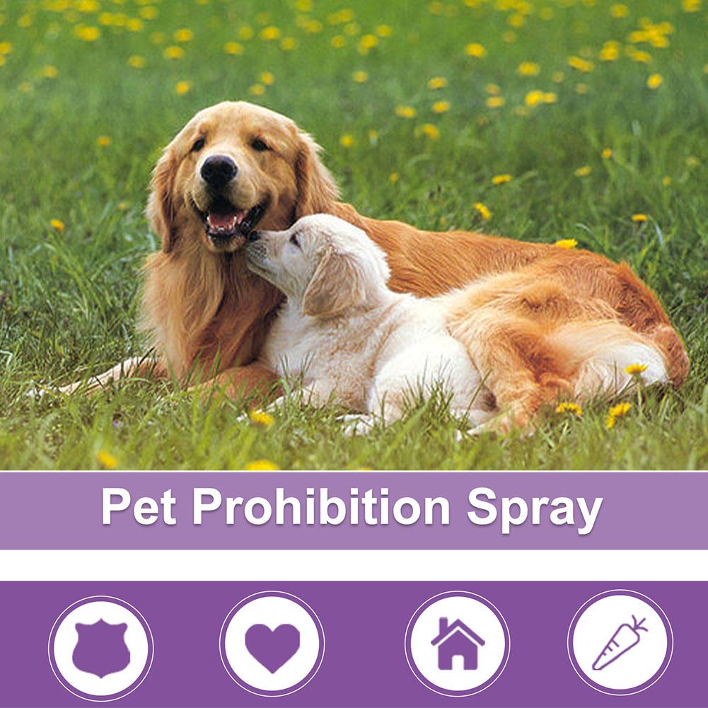 Спрей для успокоения домашних  – обзор и цена Pet Supplies App