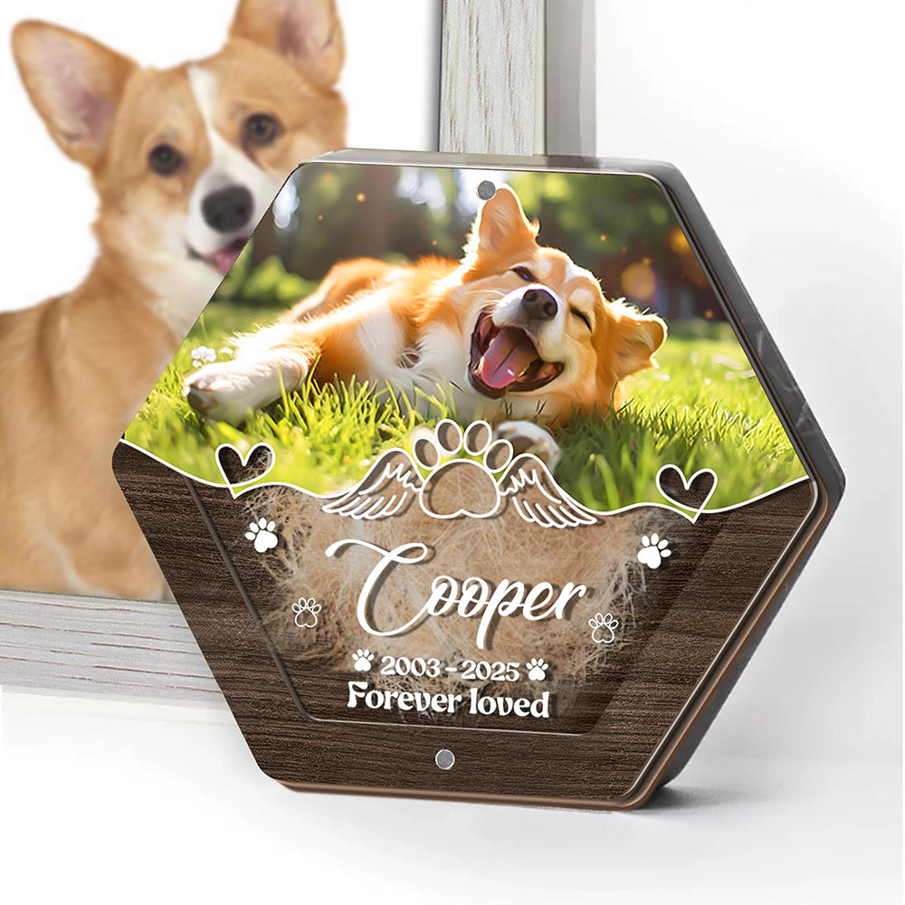 Персонализированное имя, дерев – обзор и цена Pet Supplies App