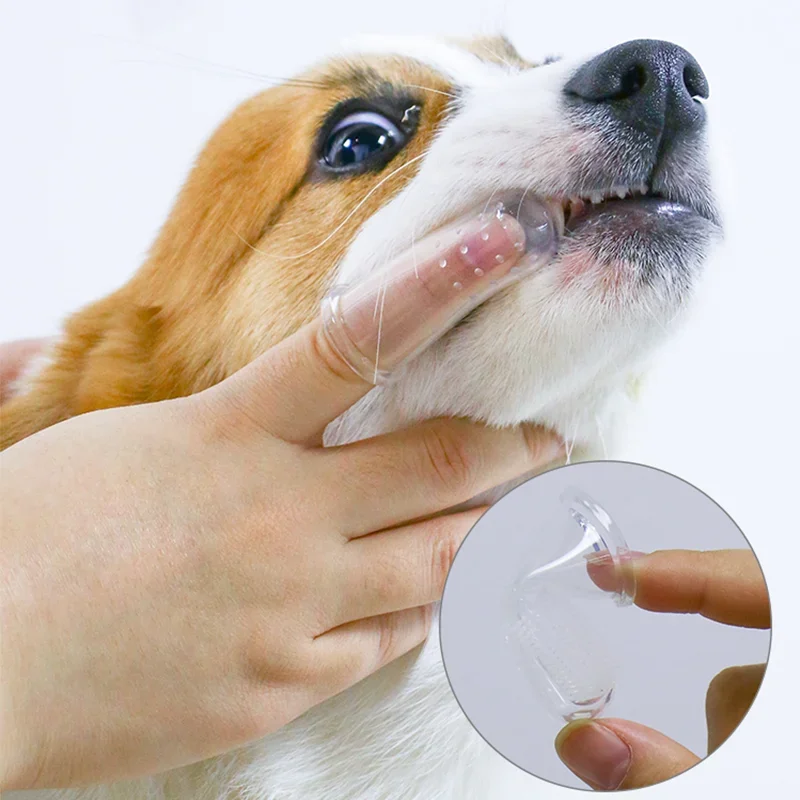 Супермягкая зубная щетка для п – обзор и цена Pet Supplies App