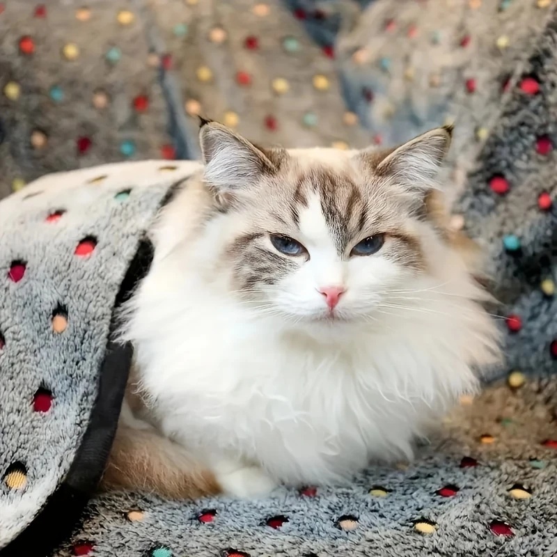 3 шт. мягкое пушистое одеяло д – обзор и цена Pet Supplies App